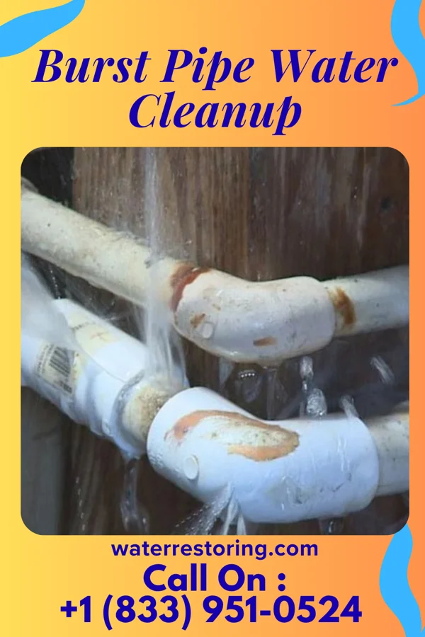Burst Pipe Water Cleanup in Kapp Heights, PA