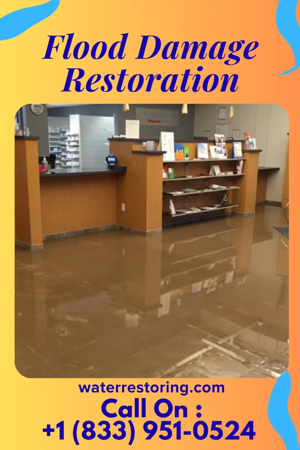 Flood Damage Restoration in Kapp Heights, PA