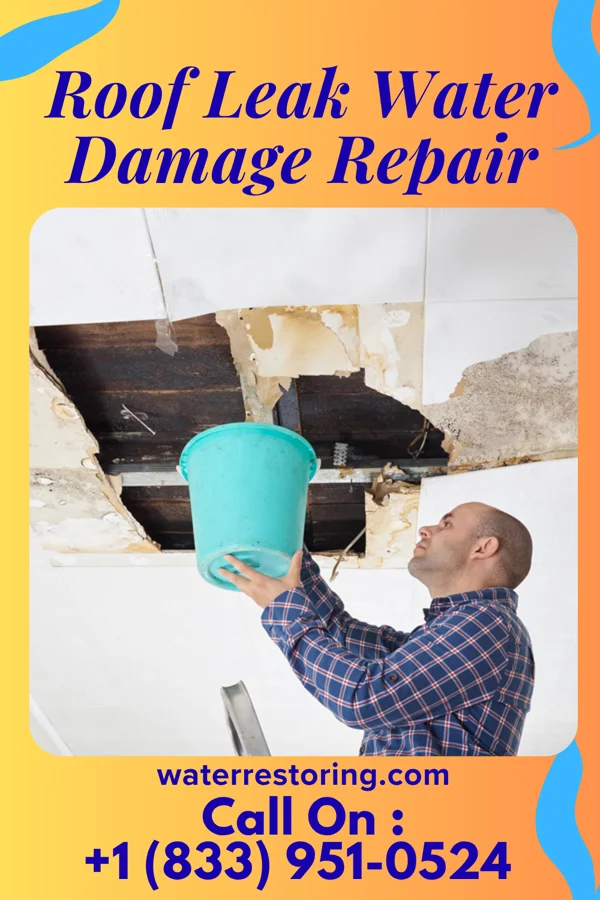 Roof Leak Water Damage Repair in Kapp Heights, PA