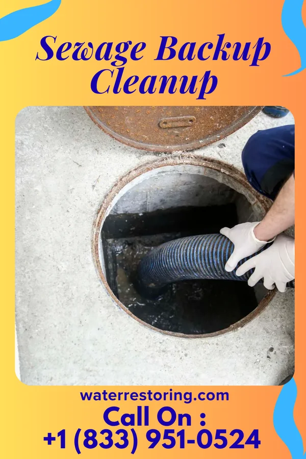 Sewage Backup Cleanup in Kapp Heights, PA