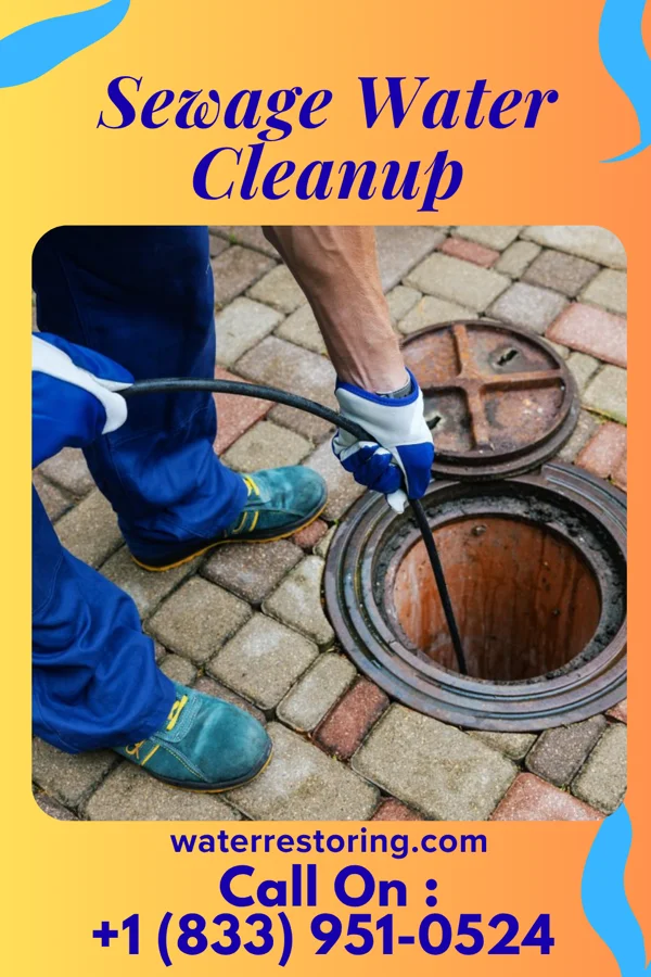 Sewage Water Cleanup in Kapp Heights, PA