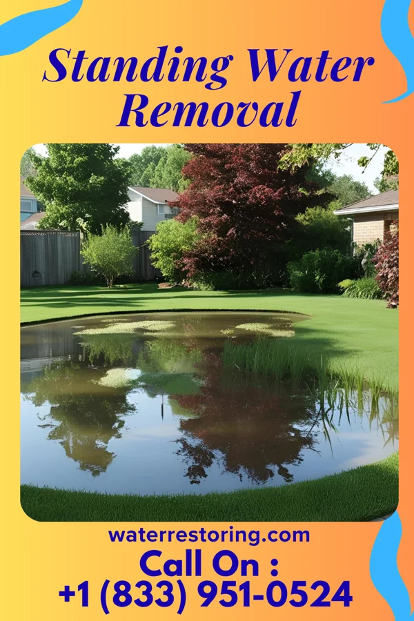 Standing Water Removal in Kapp Heights, PA